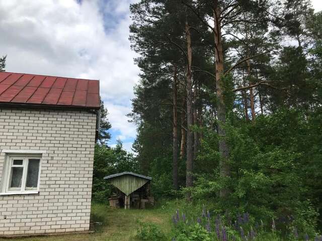 Дома для отпуска Pine trees Evarti-23